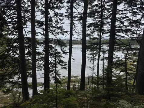 Lot 1 Windward Way Addison ME 04606