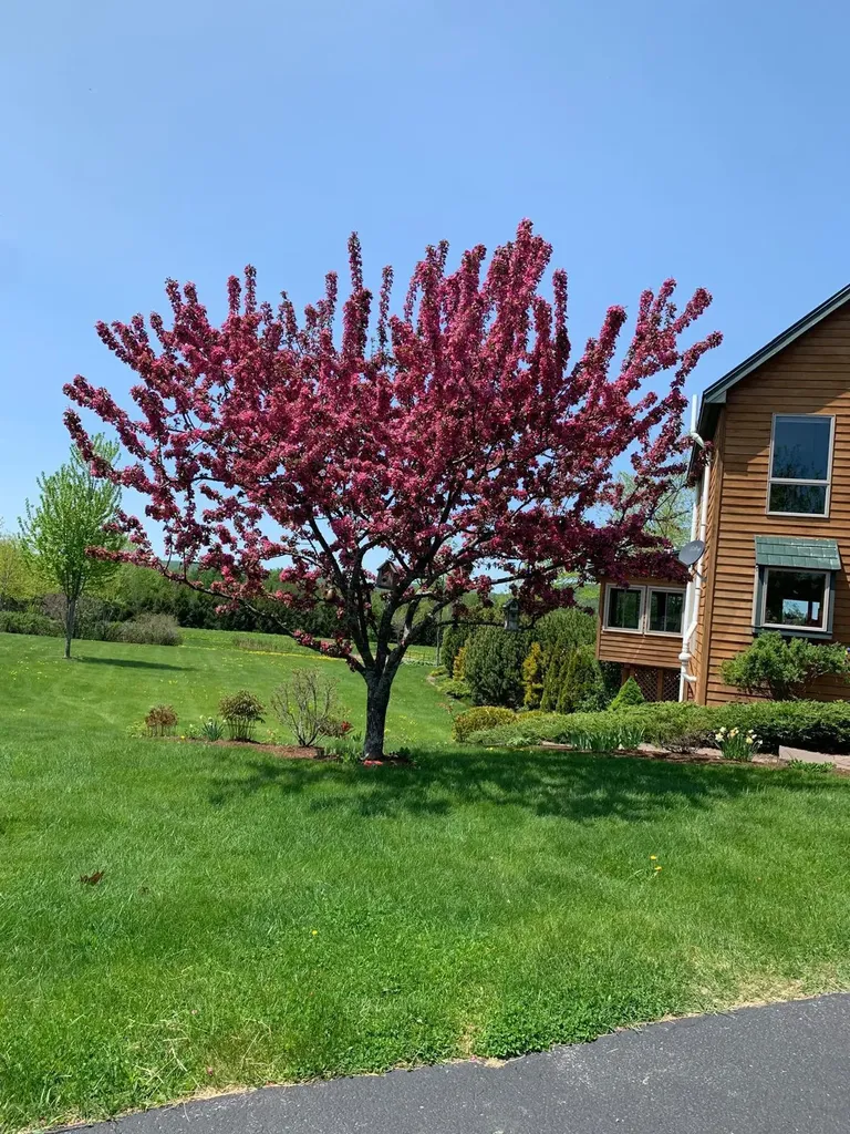 55 Niles Road Presque Isle ME 04769