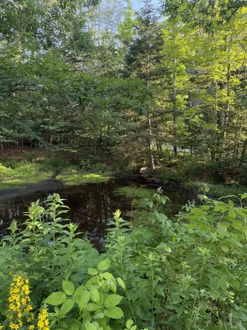 98 Hog Bay Road Franklin ME 04634