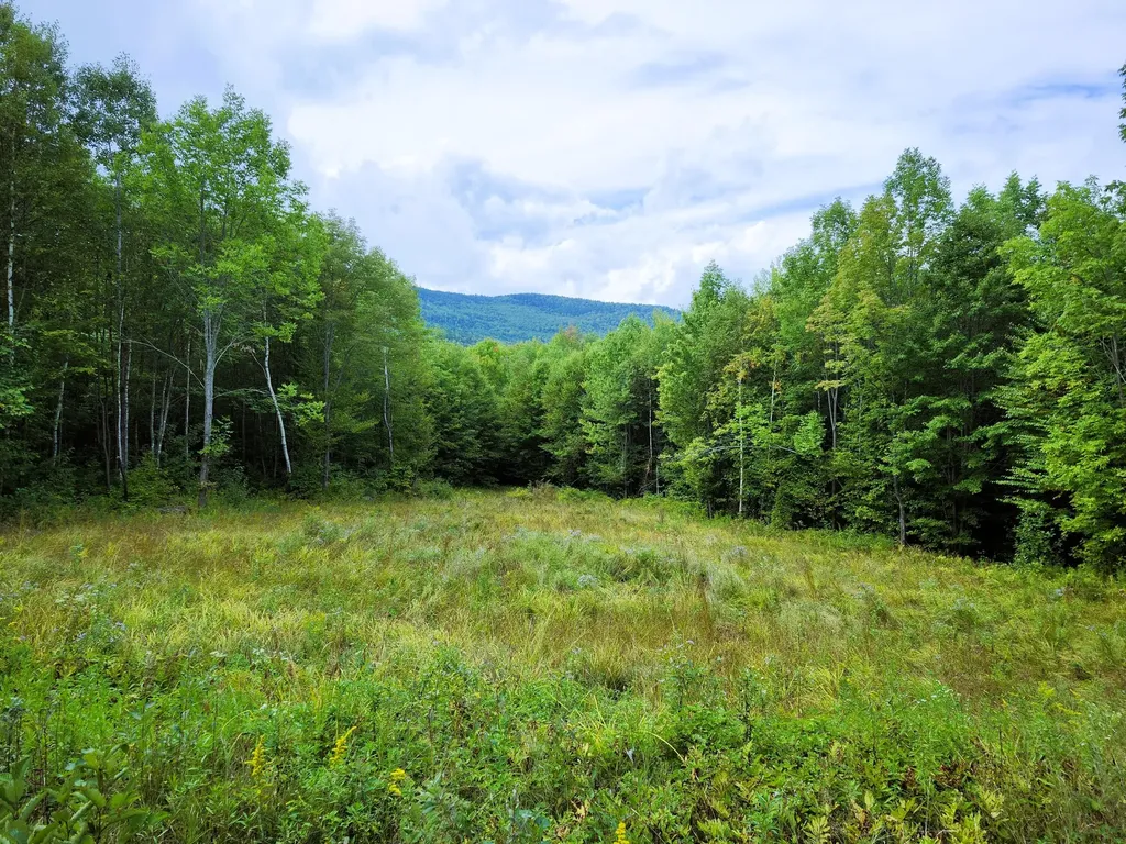 672 Meadow Lane Rumford ME 04276