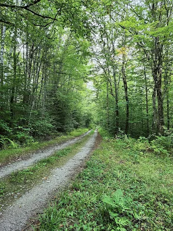 672 Meadow Lane Rumford ME 04276