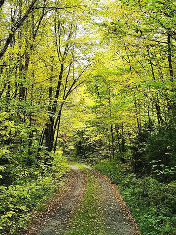672 Meadow Lane Rumford ME 04276
