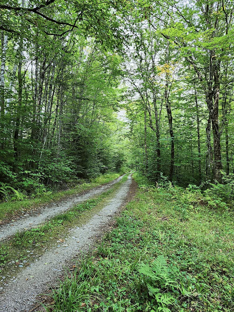 672 Meadow Lane Rumford ME 04276