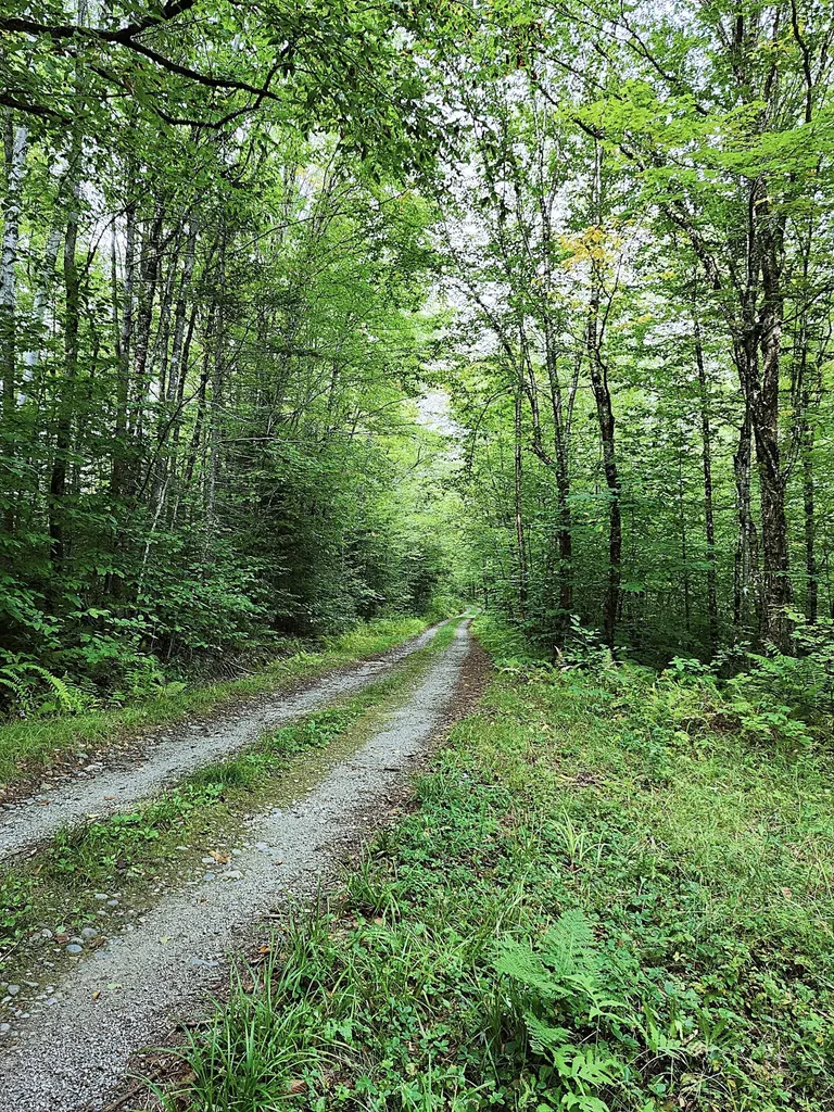 672 Meadow Lane Rumford ME 04276