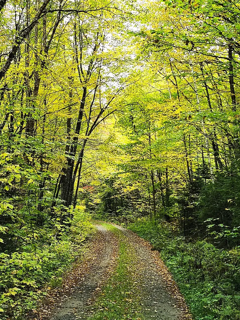 672 Meadow Lane Rumford ME 04276