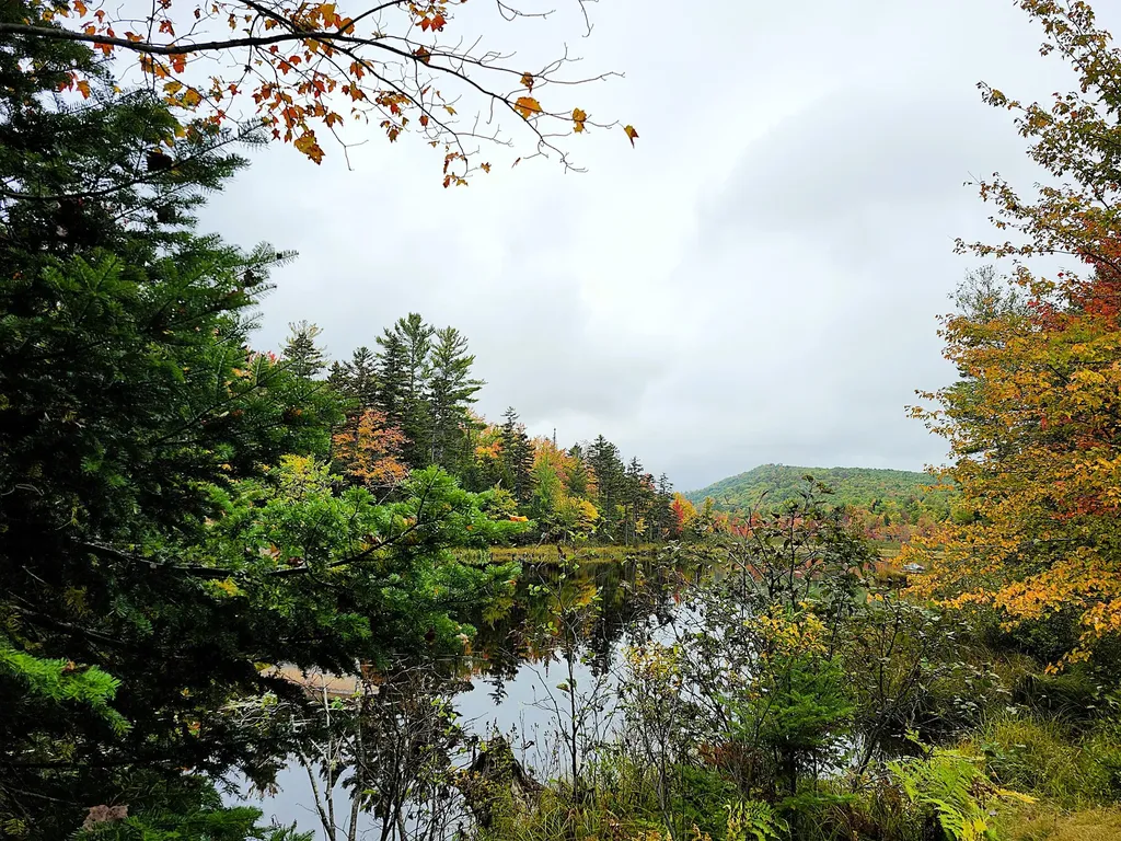 672 Meadow Lane Rumford ME 04276
