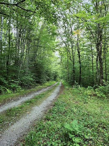 672 Meadow Lane Rumford ME 04276