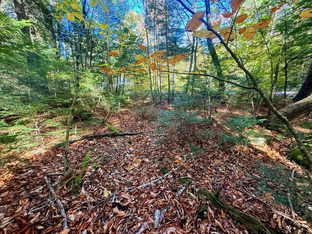 122 & 123 Aspen Estates Rome ME 04963