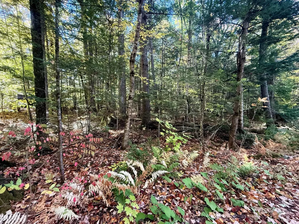 122 & 123 Aspen Estates Rome ME 04963