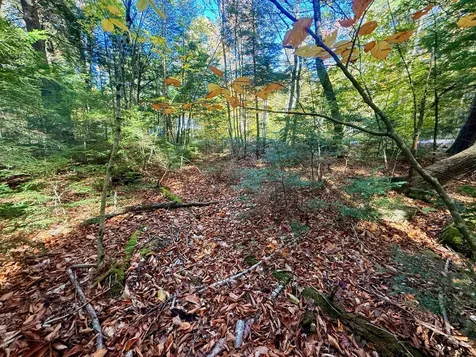 122 & 123 Aspen Estates Rome ME 04963