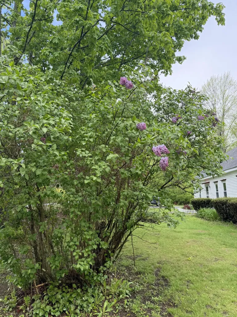 1455 Washington Road Waldoboro ME 04572