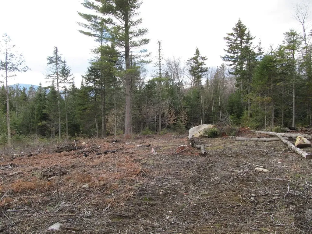 923 Center Hill Road Weld ME 04285