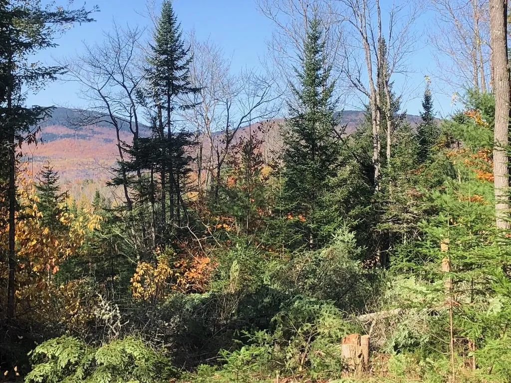 923 Center Hill Road Weld ME 04285