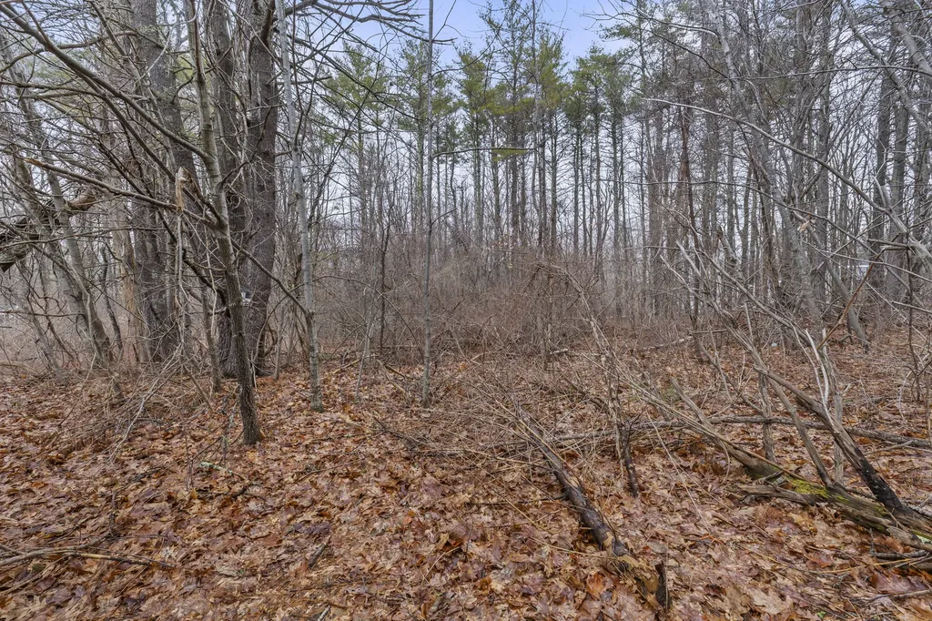 297-2 Loop Road Wells ME 04090
