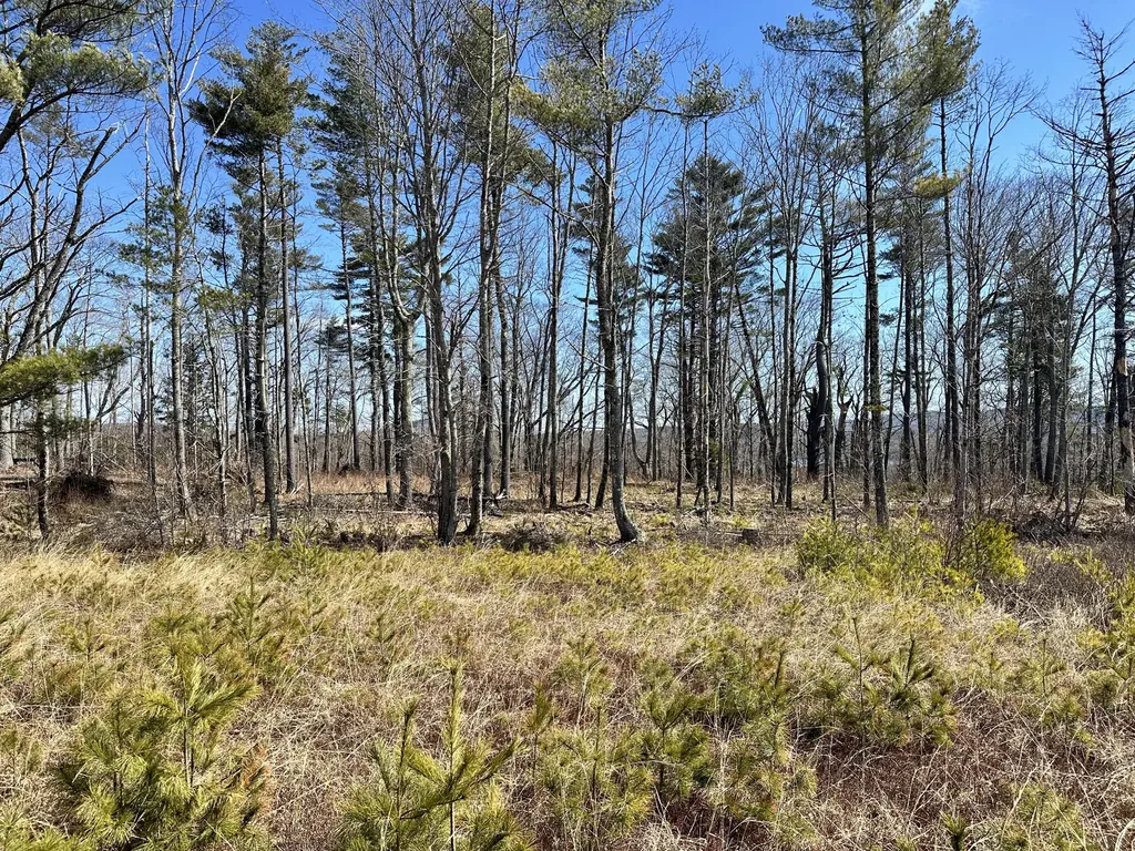 983 Barrett Hill Road Union ME 04862