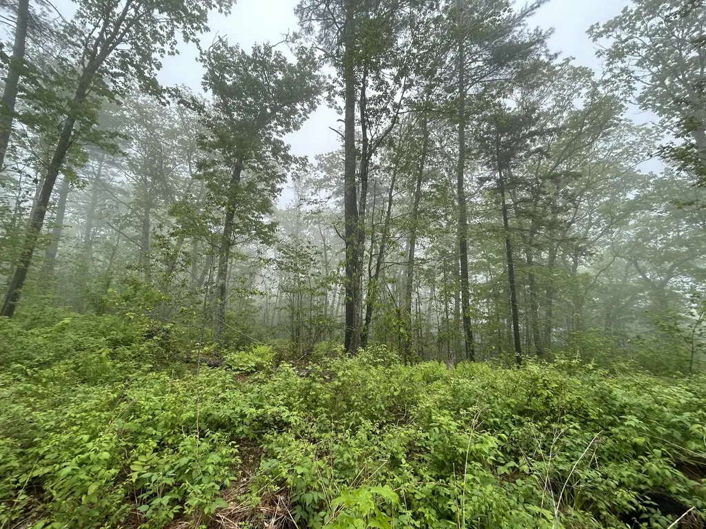 983 Barrett Hill Road Union ME 04862