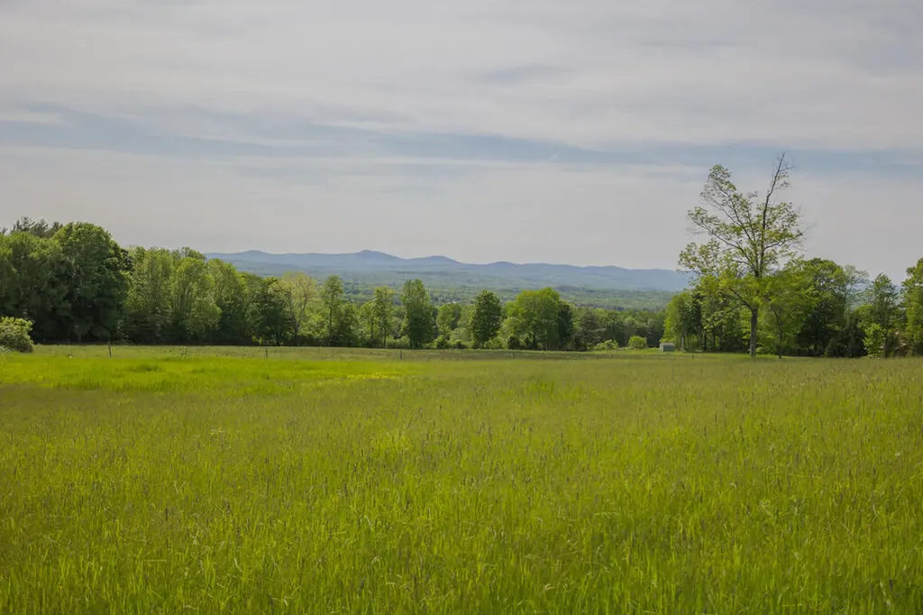 59 Chandler Road New Sharon ME 04955