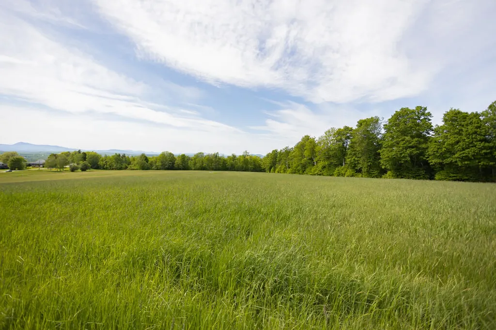 59 Chandler Road New Sharon ME 04955