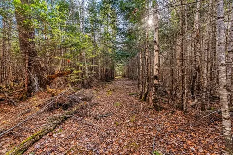 7 White Tail Lane Gouldsboro ME 04607