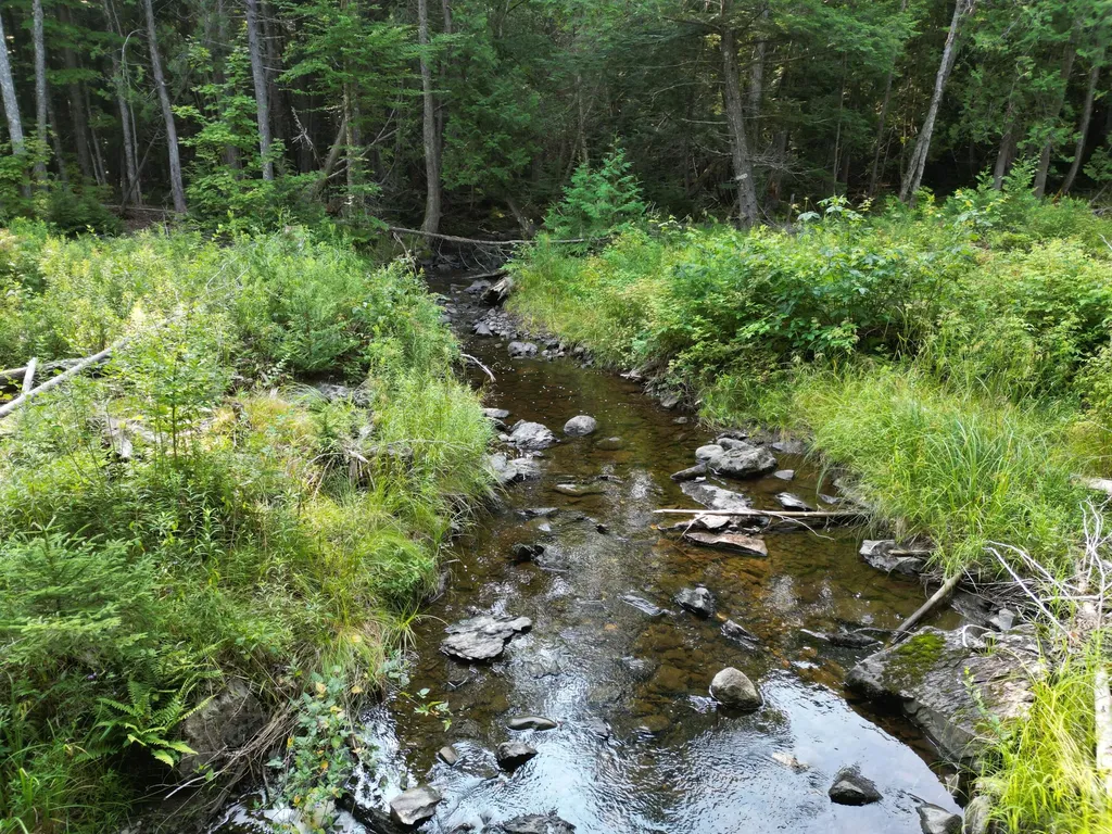 Lot 33-4 West Road Springfield ME 04487