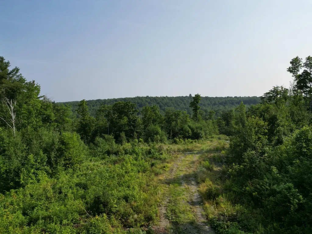 Lot 33-4 West Road Springfield ME 04487