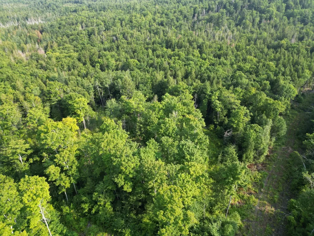 Lot 33-4 West Road Springfield ME 04487