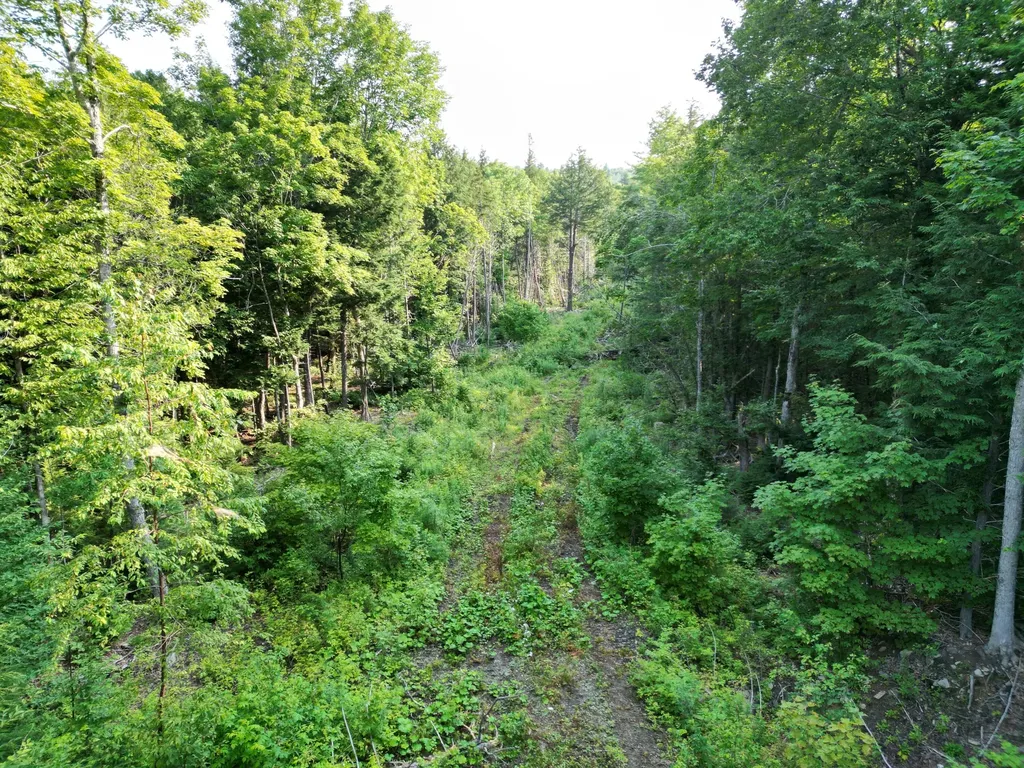 Lot 33-4 West Road Springfield ME 04487