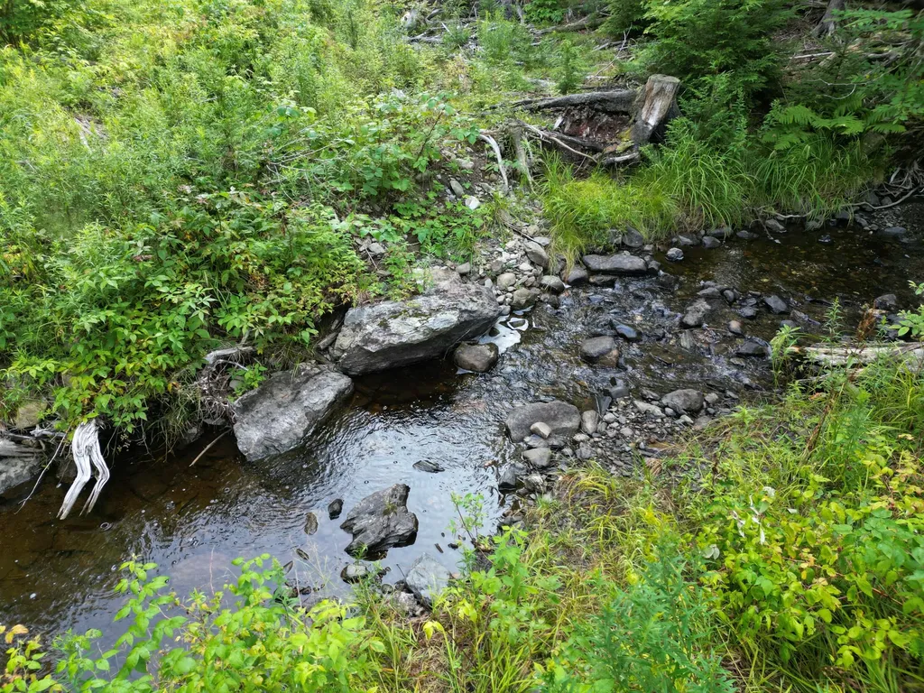 Lot 33-4 West Road Springfield ME 04487