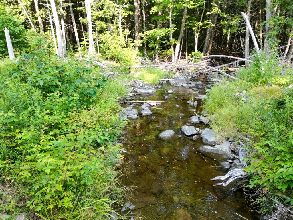 Lot 33-4 West Road Springfield ME 04487