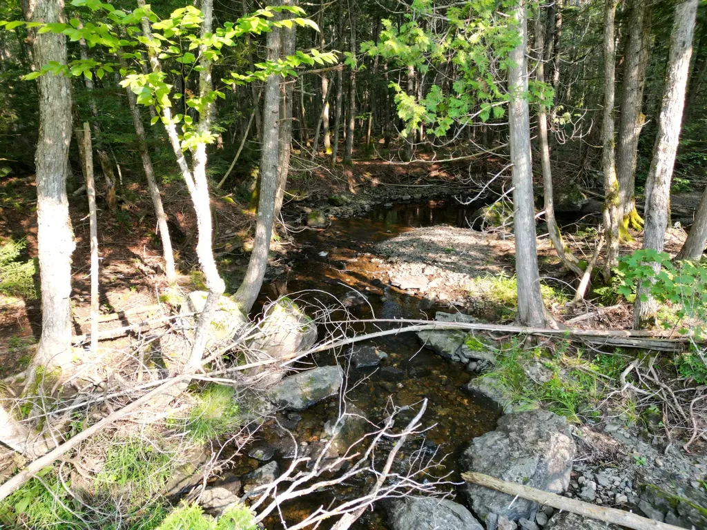 Lot 33-4 West Road Springfield ME 04487
