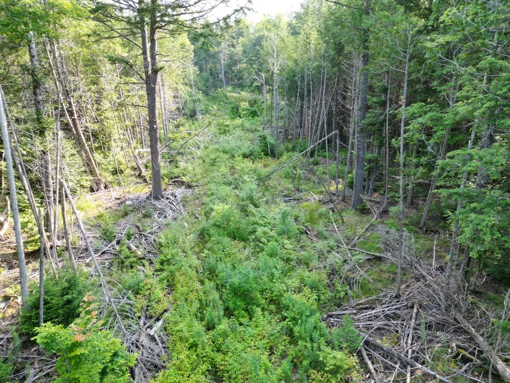Lot 33-4 West Road Springfield ME 04487