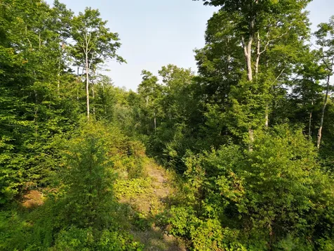 Lot 33-4 West Road Springfield ME 04487