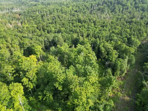 Lot 33-4 West Road Springfield ME 04487