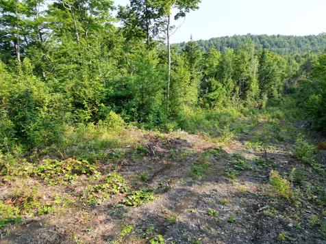 Lot 33-4 West Road Springfield ME 04487