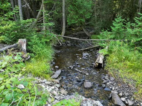 Lot 33-4 West Road Springfield ME 04487