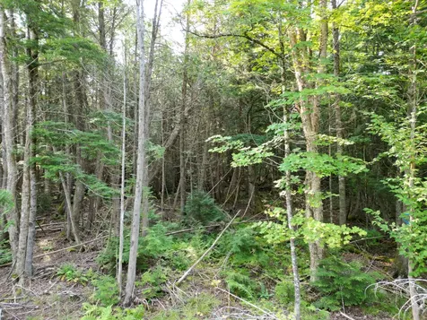Lot 33-4 West Road Springfield ME 04487