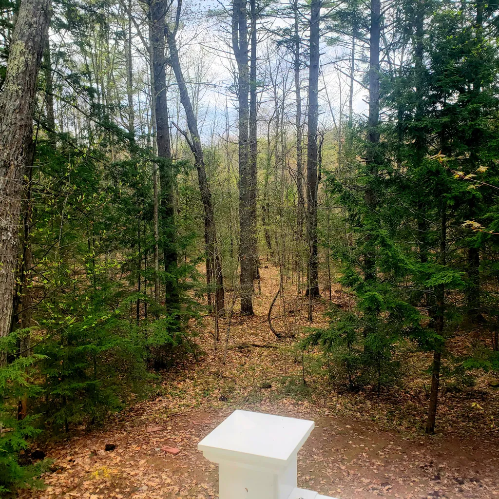287 NW River Road Sebago ME 04029