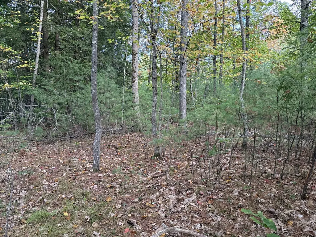 Lot 2093 Sunny Brook Circle Waterboro ME 04061