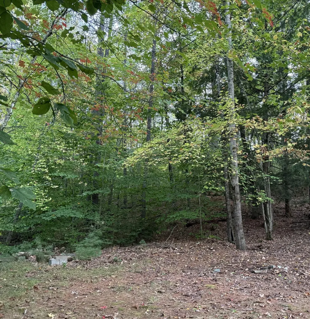 Lot 2093 Sunny Brook Circle Waterboro ME 04061