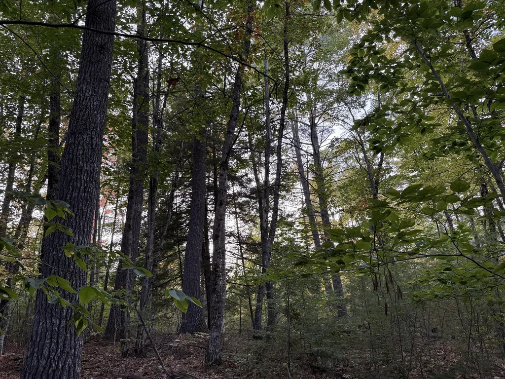 Lot 2093 Sunny Brook Circle Waterboro ME 04061