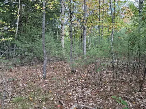Lot 2093 Sunny Brook Circle Waterboro ME 04061