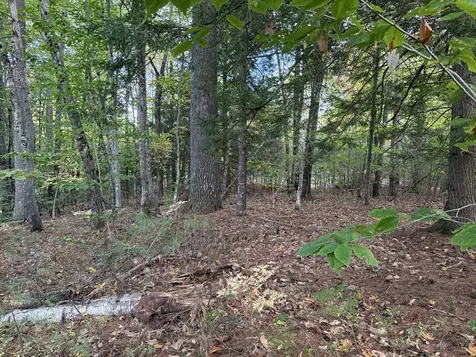 Lot 2093 Sunny Brook Circle Waterboro ME 04061