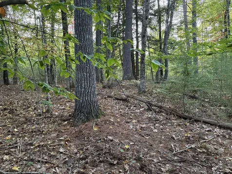 Lot 2093 Sunny Brook Circle Waterboro ME 04061