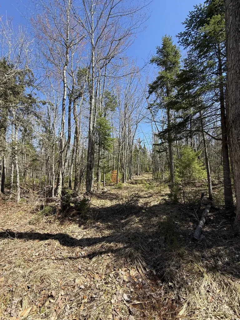 Lot 016-2 142 Old Fisher Road Holden ME 04429