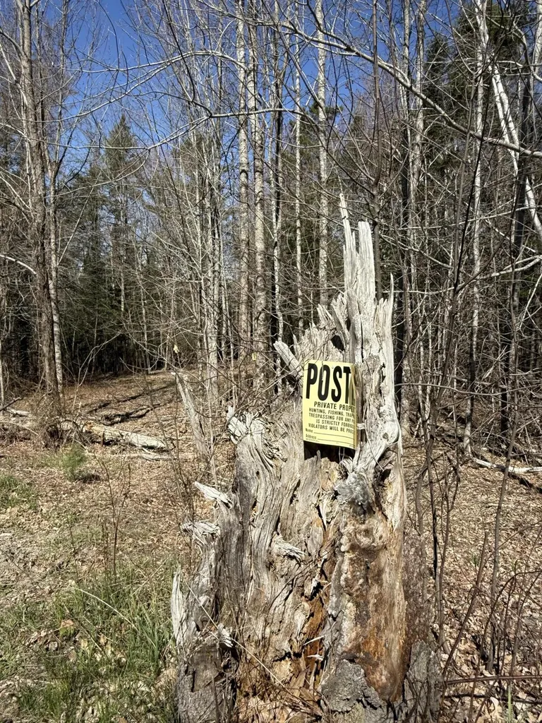 Lot 016-2 142 Old Fisher Road Holden ME 04429