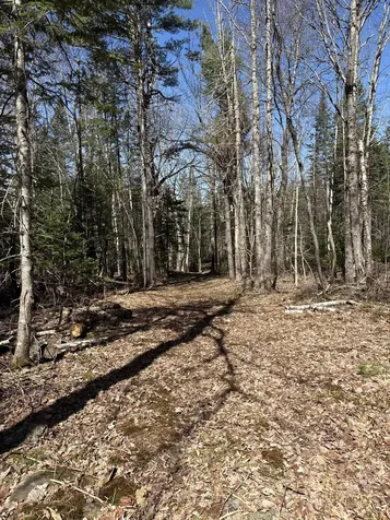 Lot 016-2 142 Old Fisher Road Holden ME 04429