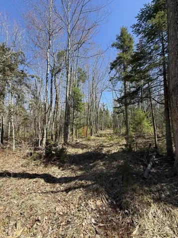 Lot 016-2 142 Old Fisher Road Holden ME 04429