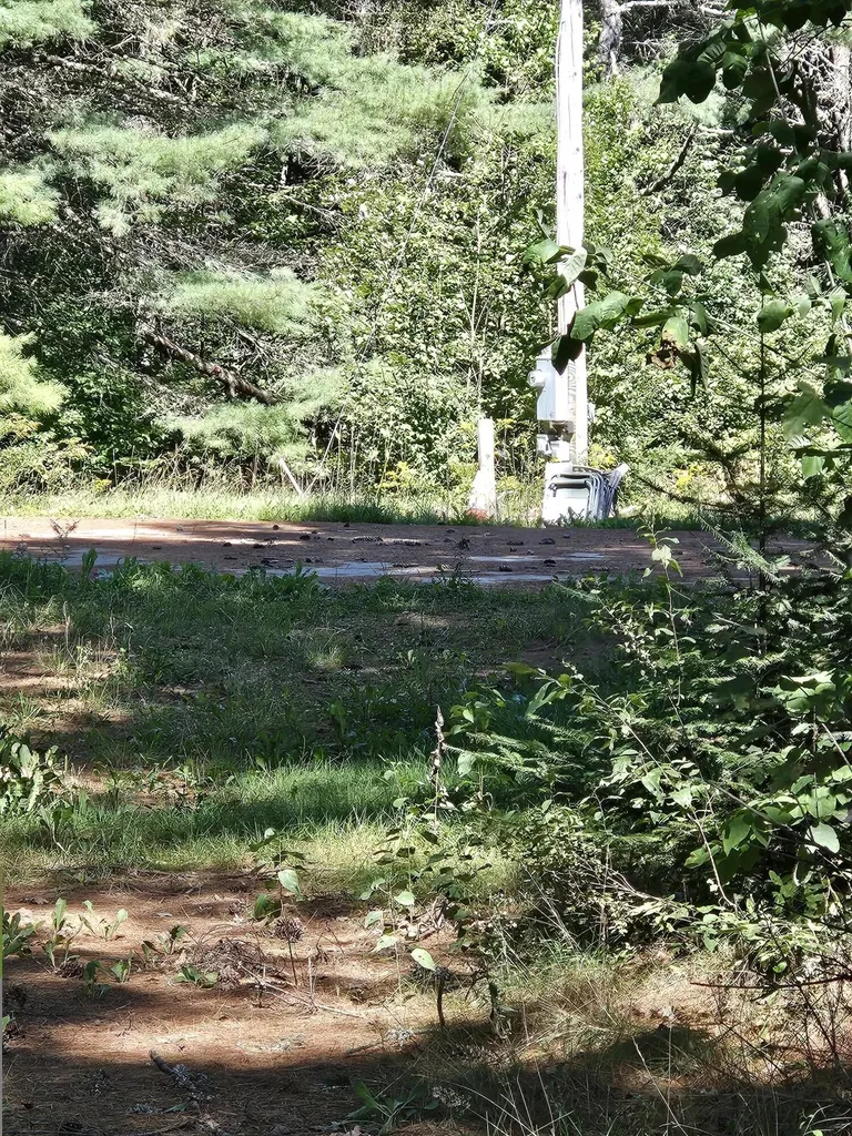 336 Medford Road Lagrange ME 04453