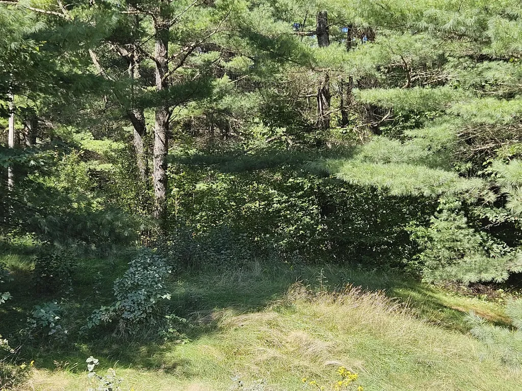 336 Medford Road Lagrange ME 04453