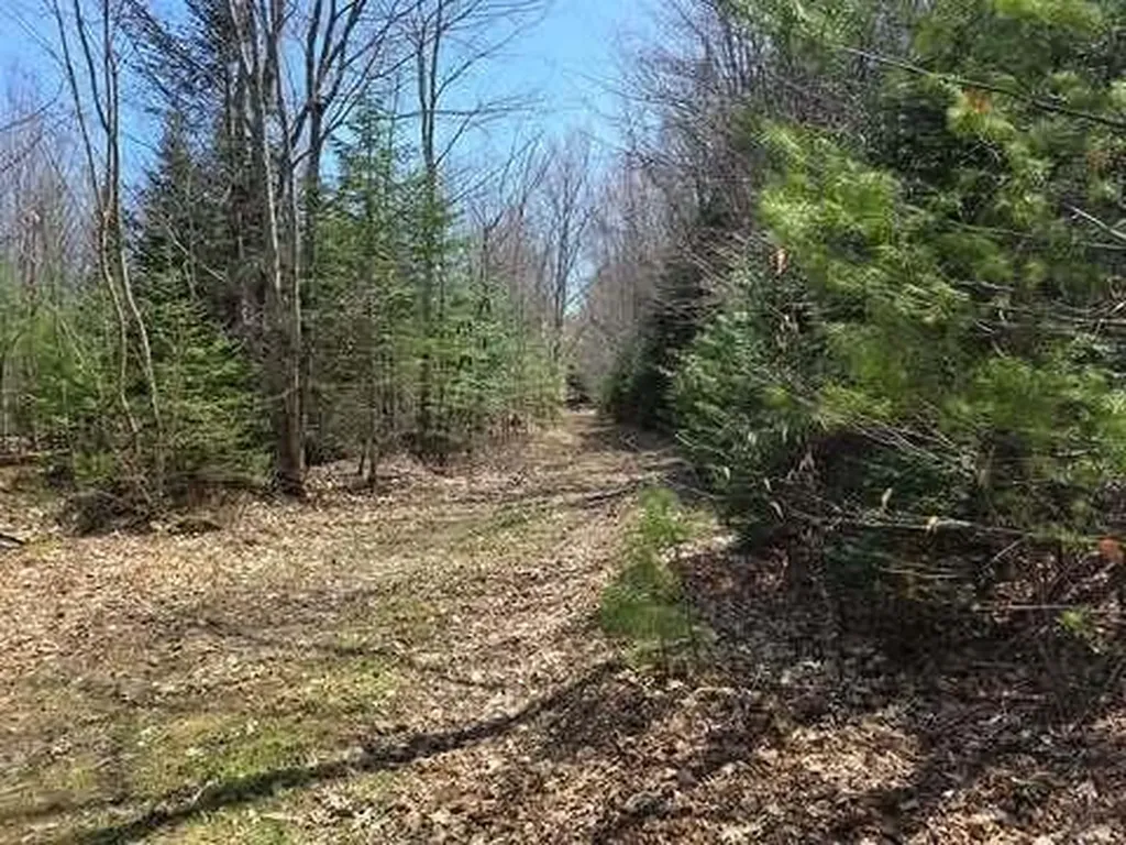 Lot 26-1 Old County Road West Paris ME 04289